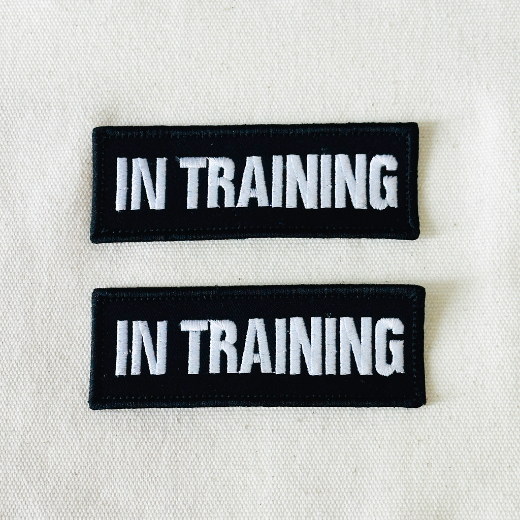 Small Dog Harness In Training Embroidered Patches