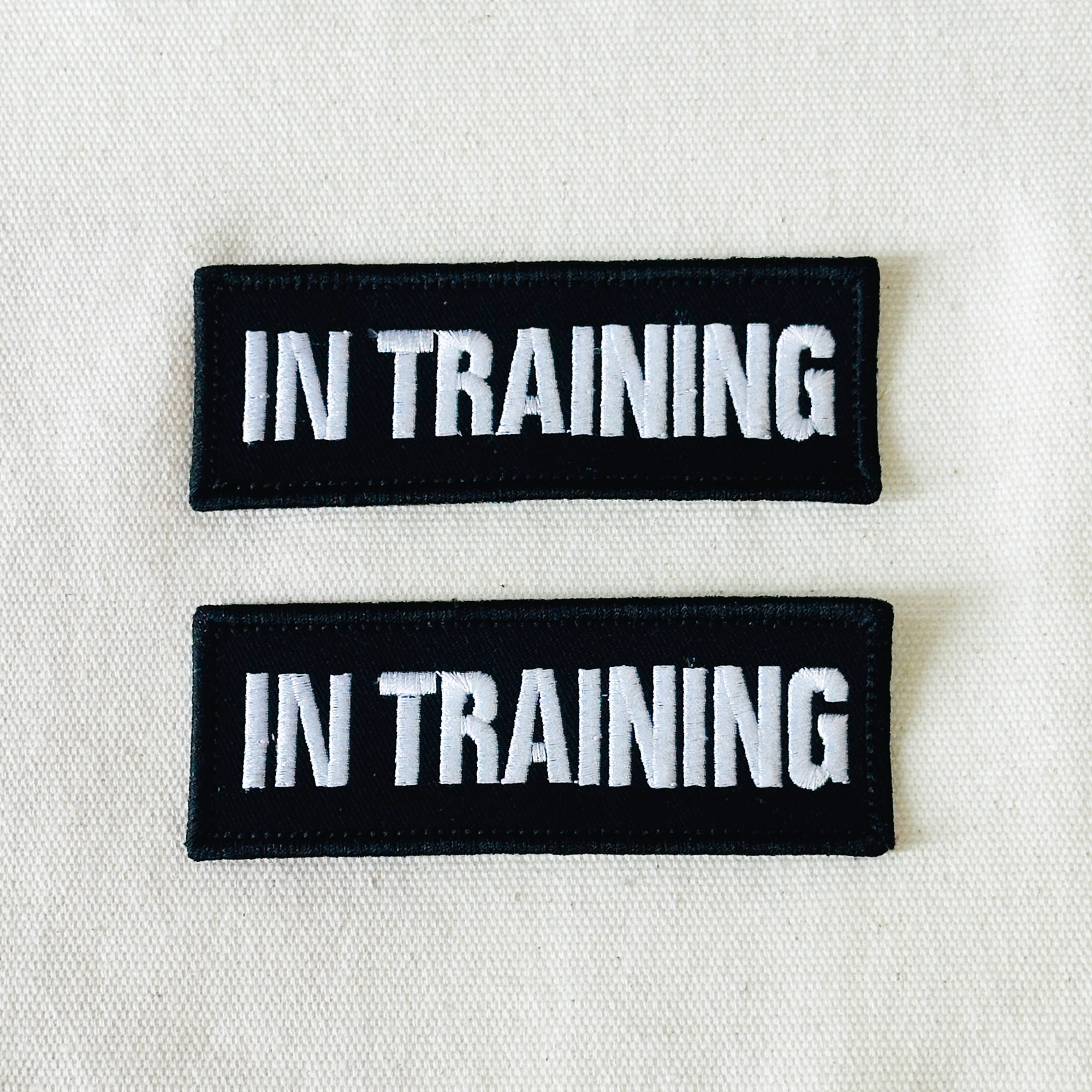 Small Dog Harness In Training Embroidered Patches