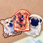 Custom Pet Portrait Patch
