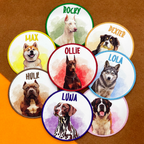 Unique Pet Photo Keepsake