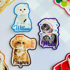 Personalized Cat Photo Patch Gift for Cat Lovers