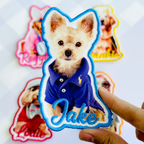Custom Dog Name Printed Patch